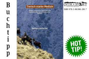 Lékárnička: Šelmí silná medicína