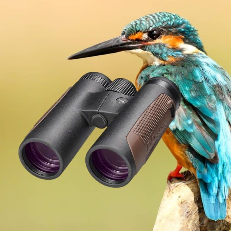 DDoptics NXT 8x42 binoculars Colour depth